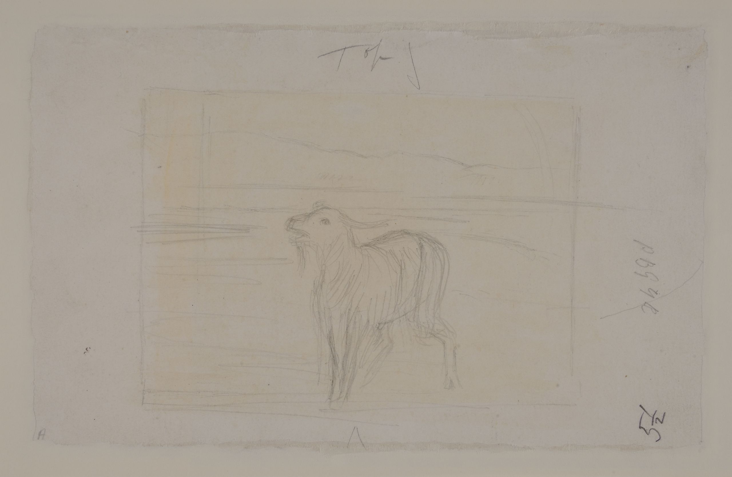 sketch of a goat with the Dead Sea and mountains behind it
