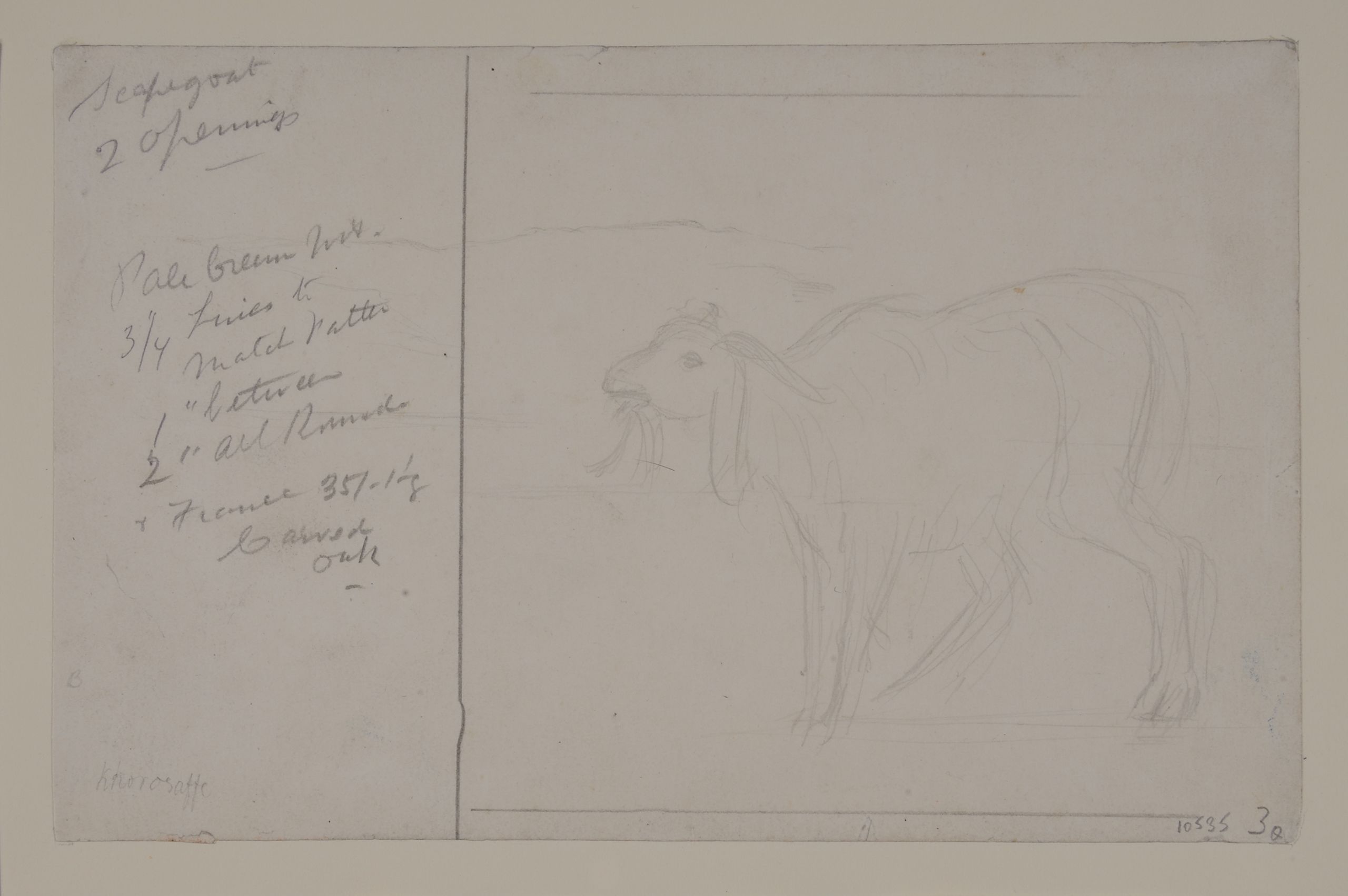 sketch of a goat with hand written notes at the side