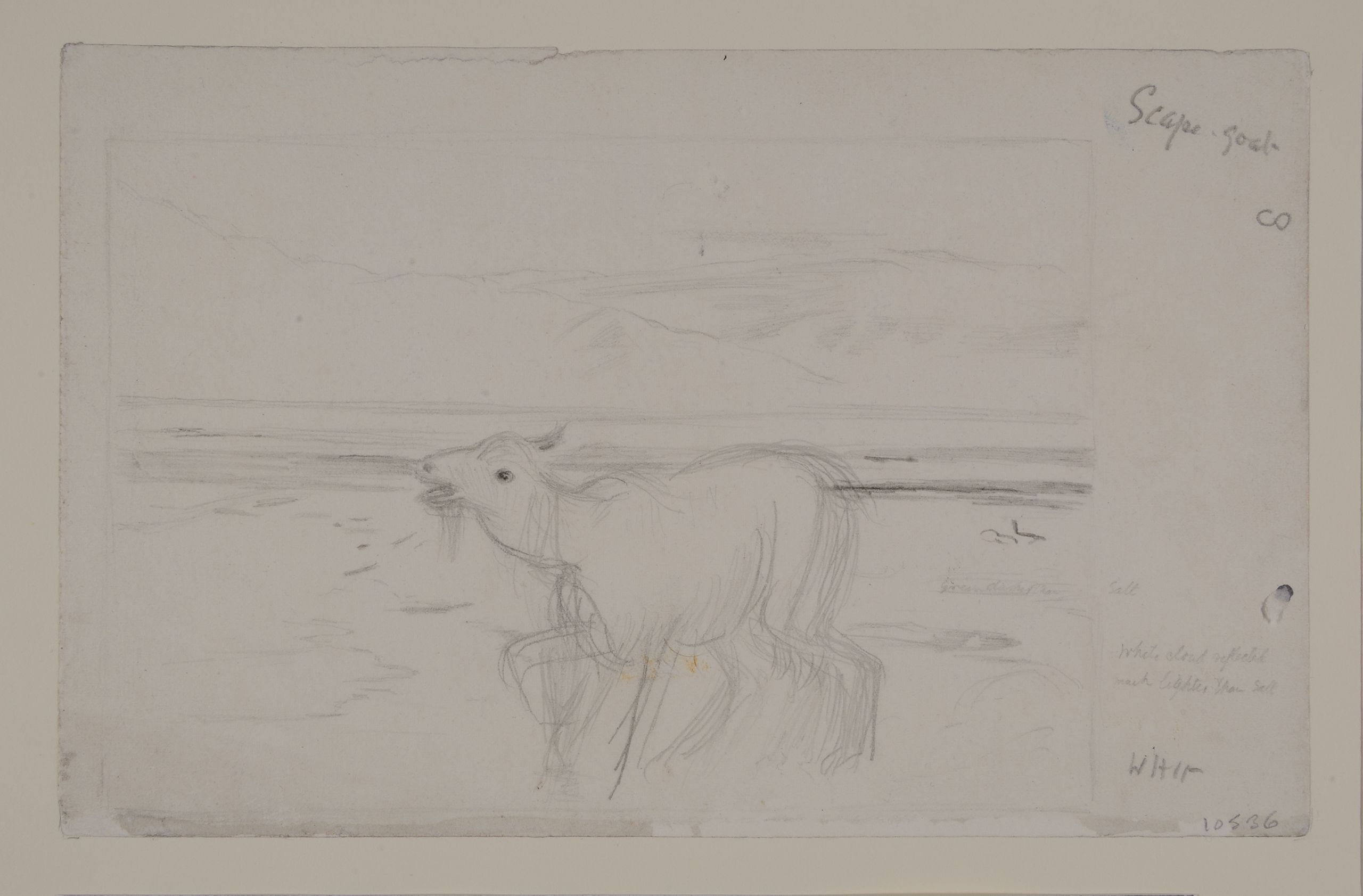sketch of a goat with the Dead Sea and mountains behind it